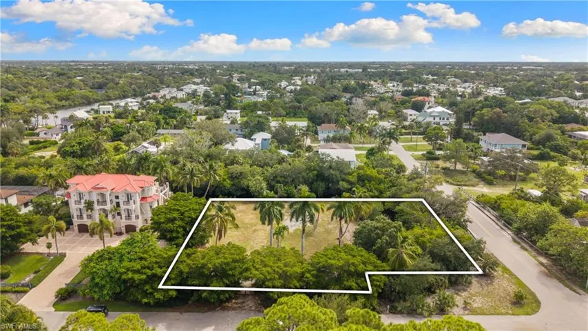 Expansive land parcel featuring mature trees, including palm trees, and clear ground