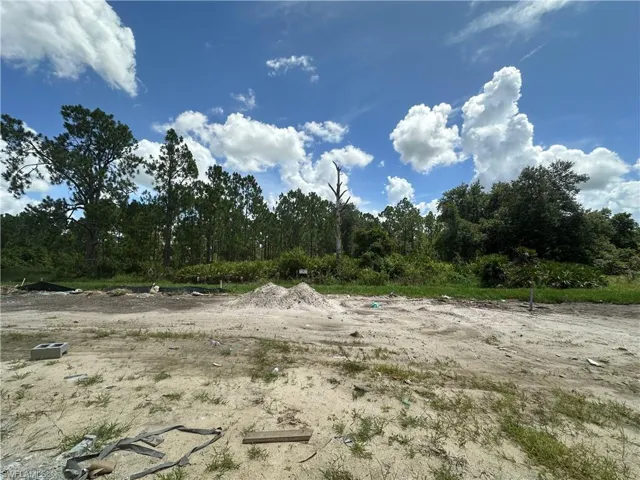 View of local wilderness