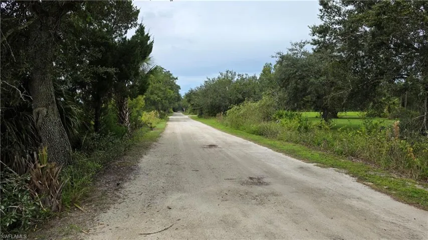 Gravel road with mature trees and natural landscaping