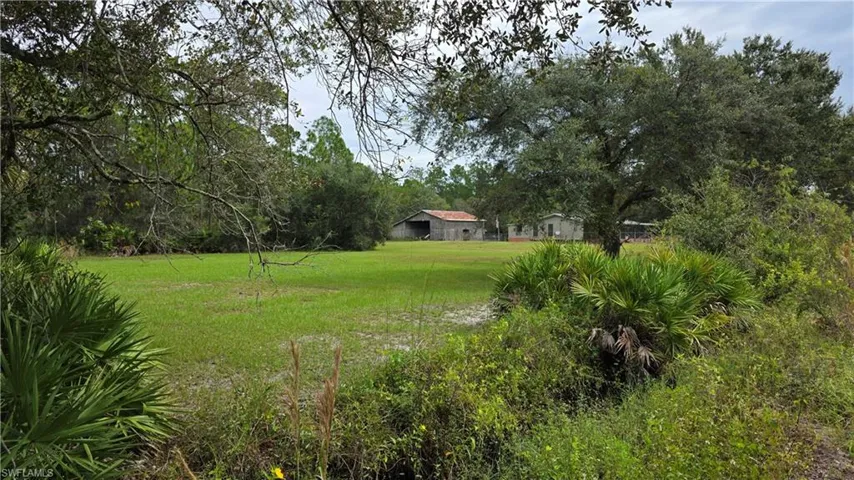 Expansive green lawn surrounded by mature trees