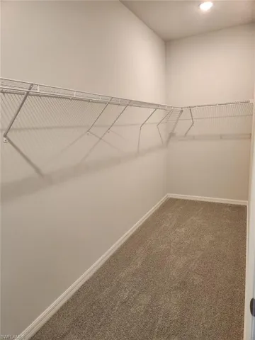 Walk in closet featuring carpet