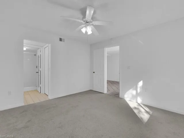 colored carpet