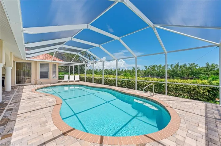 Swimming pool featuring a patio and a lanai