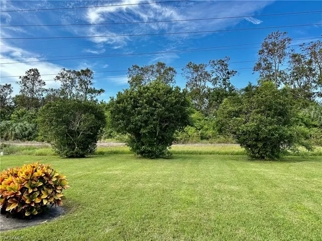 View of private backyard