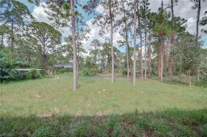 Expansive lot featuring mature pine trees and natural landscape