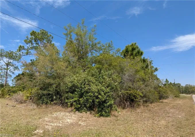 view of the left front corner from the street facing the lot