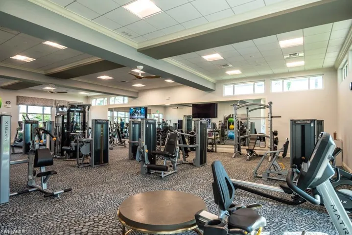 Workout area featuring carpet, ceiling fan, and crown molding