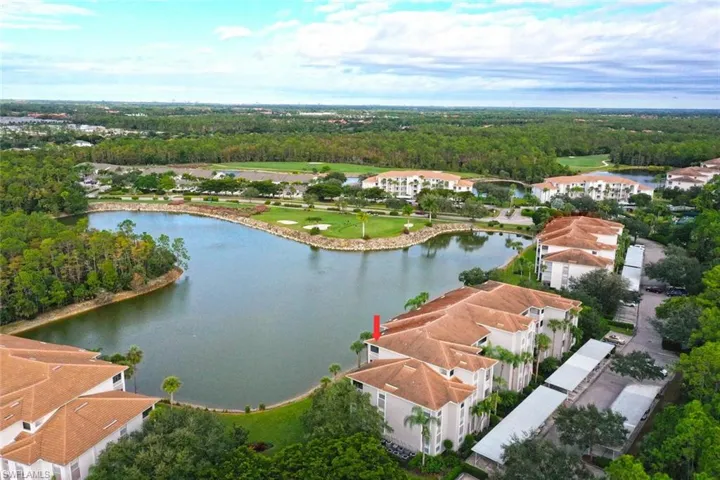Aerial view of a large body of water and a forest