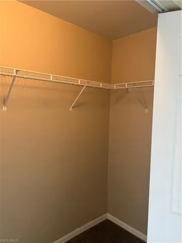 Spacious closet featuring carpet floors