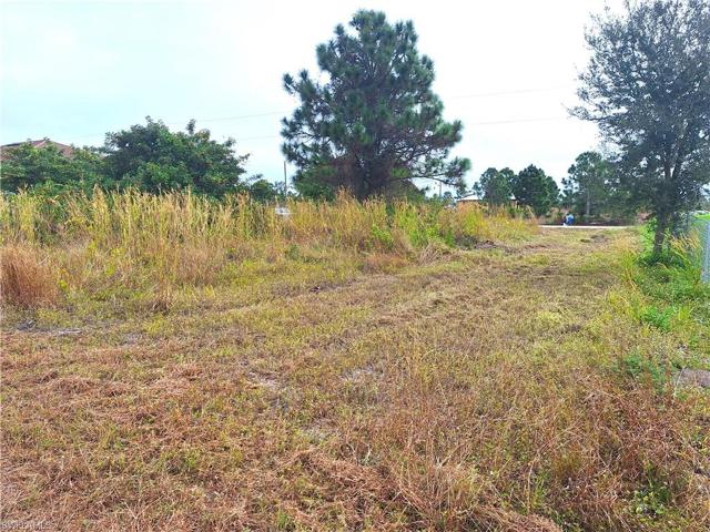 1152 Helen AVE S, LEHIGH ACRES FL 33974