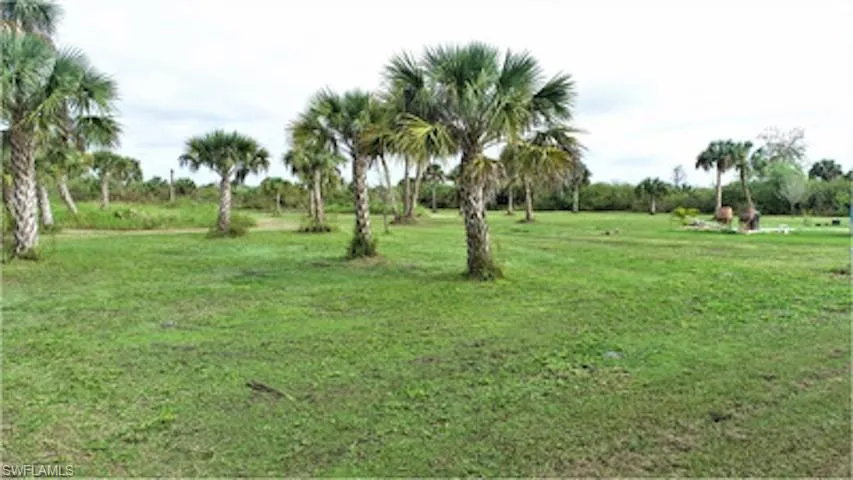View of grassy yard