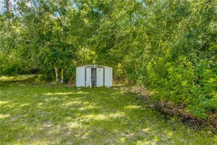 View of green lawn with a shed