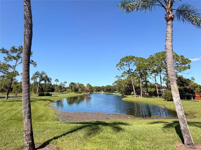 Waterfront pond with a fountain, manicured lawn, and mature palm trees
