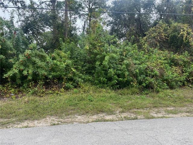 2432-2434 George AVE S, LEHIGH ACRES FL 33973