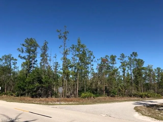 View of road