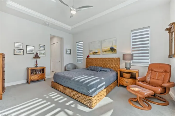 Bedroom with visible vents, baseboards, a tray ceiling, carpet floors, and a closet