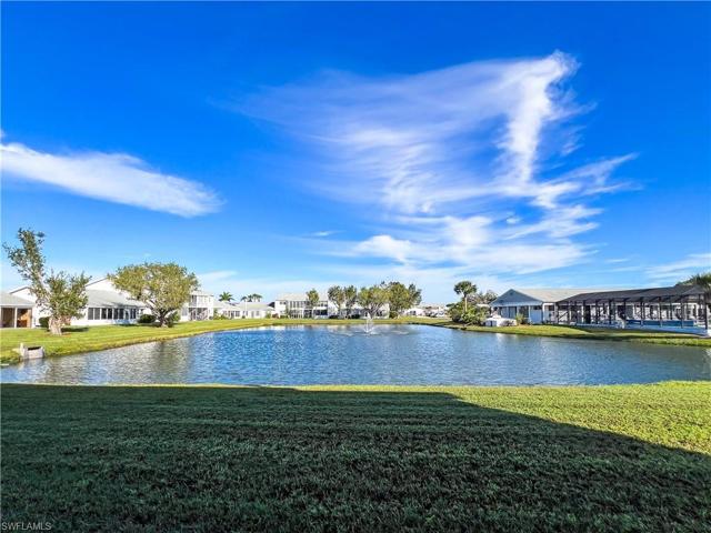 your back yard outside your lanai
