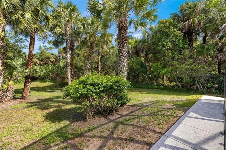View of grassy yard