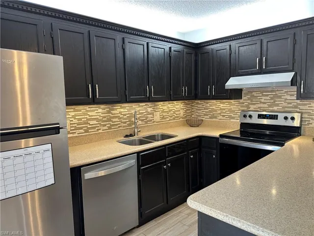 Kitchen with appliances with stainless steel finishes, under cabinet range hood, a sink, dark cabinetry, and tasteful backsplash