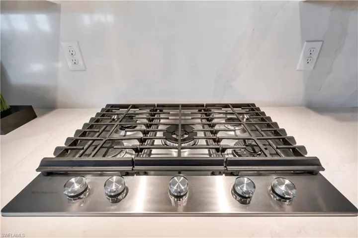 Room details with stainless steel gas stovetop