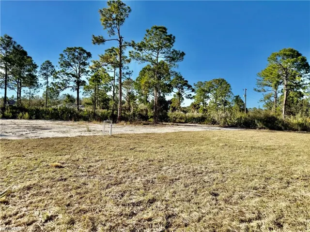 Half acre lot