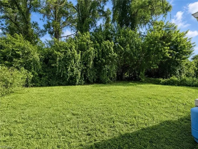 Expansive green lawn with a perimeter of mature trees and established shrubbery