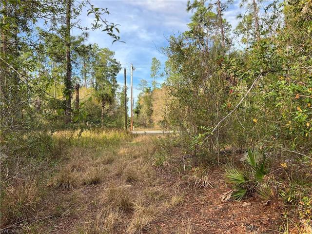 503 W 10th ST, LEHIGH ACRES FL 33972