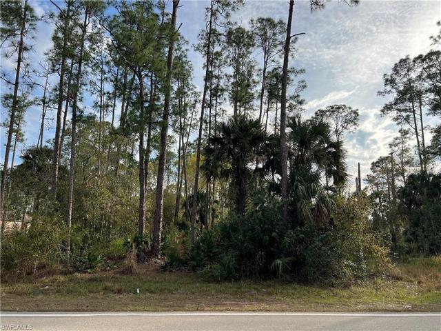 503 W 10th ST, LEHIGH ACRES FL 33972