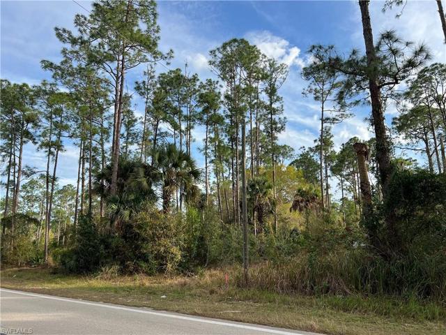 503 W 10th ST, LEHIGH ACRES FL 33972
