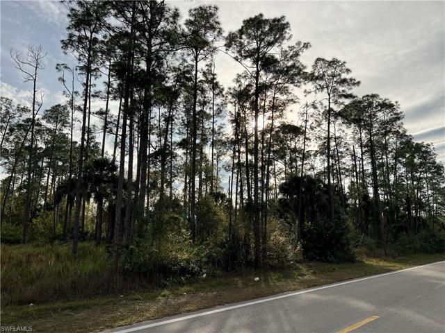 503 W 10th ST, LEHIGH ACRES FL 33972