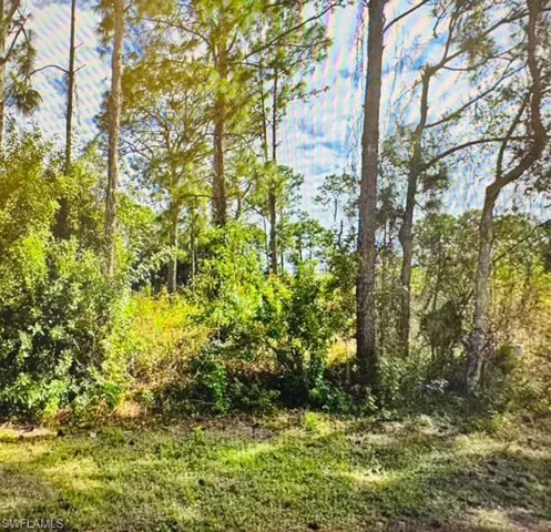 719 Foxtail St E, Lehigh Acres, Florida 33974