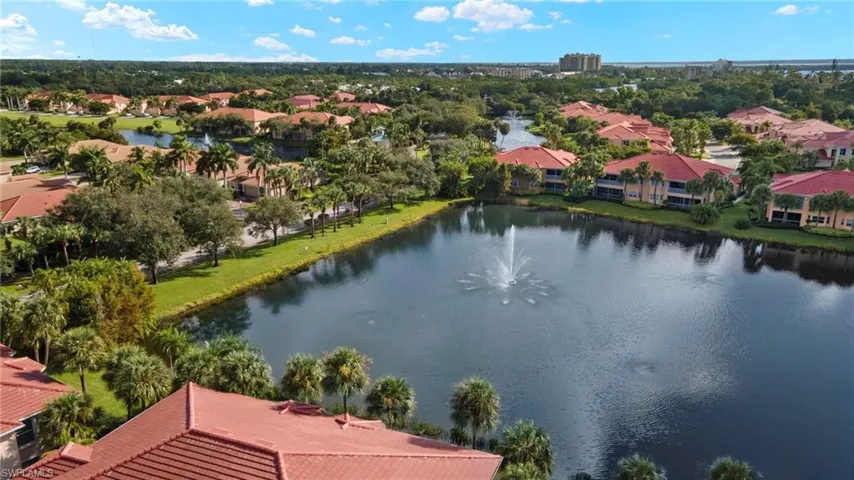 Aerial View of the pond and water feature