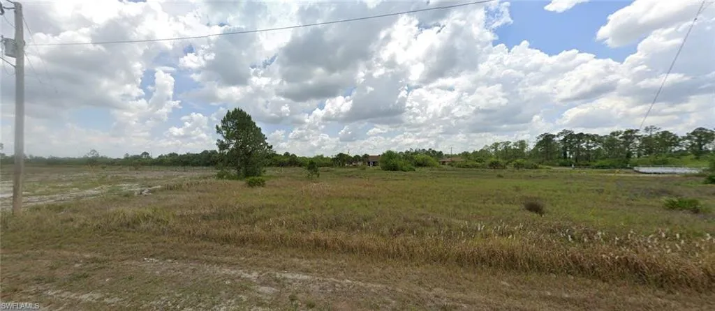 View of local wilderness with a rural view