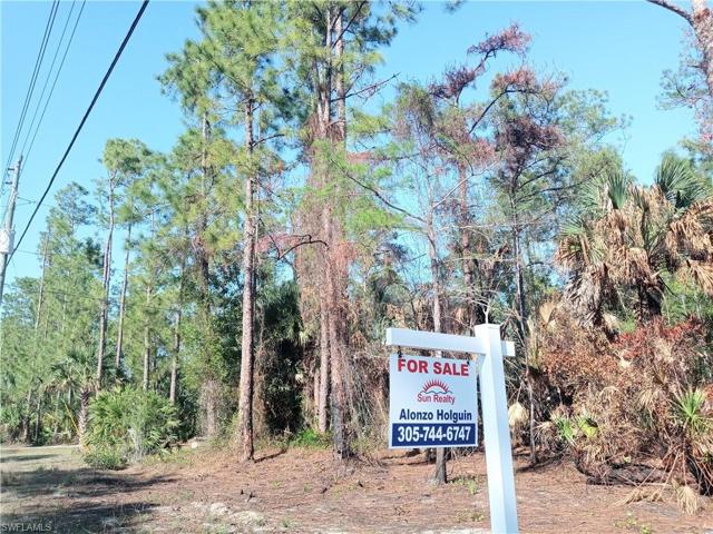 Everglades BLVD, NAPLES FL 34117