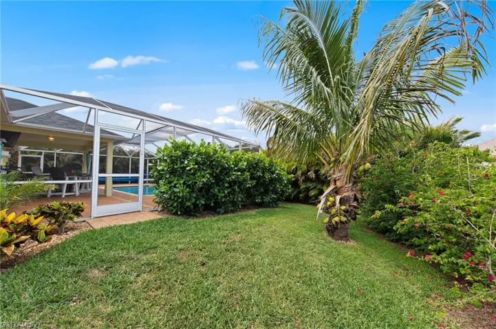 Back Yard and Coconut Tree