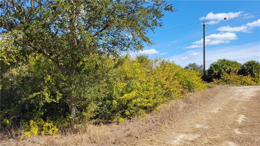 View of lot from the left side looking to the northeast