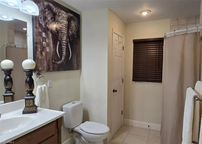 Full bath with light tile patterned flooring, vanity, a closet, and a shower with shower curtain