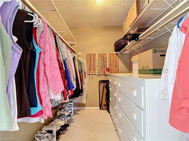 Spacious closet with light colored carpet