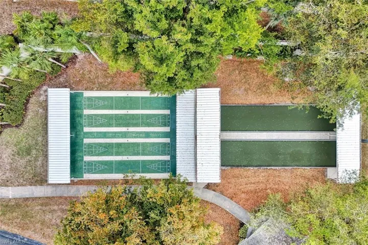 Community Shuffleboard