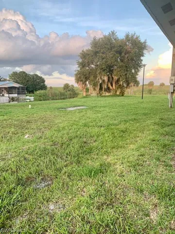 View of yard at dusk