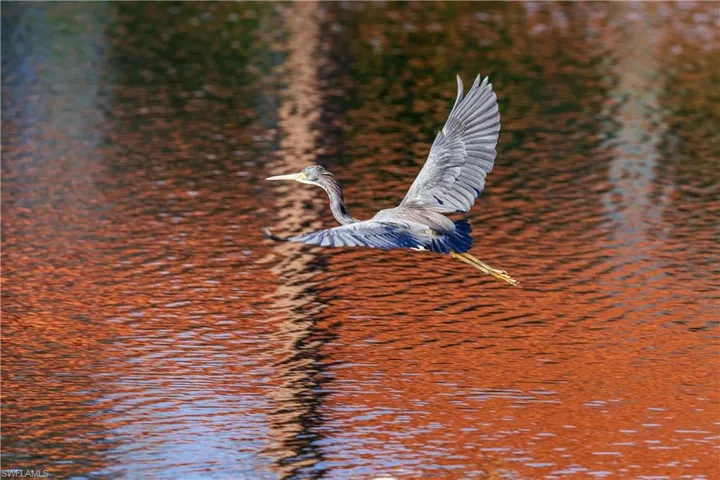 Nature view