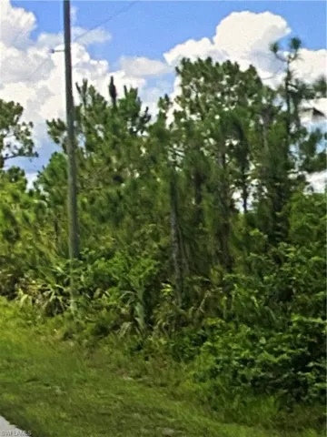 View of nature