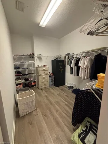 Spacious closet featuring light wood finished floors