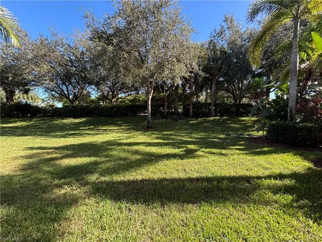 View of grassy yard