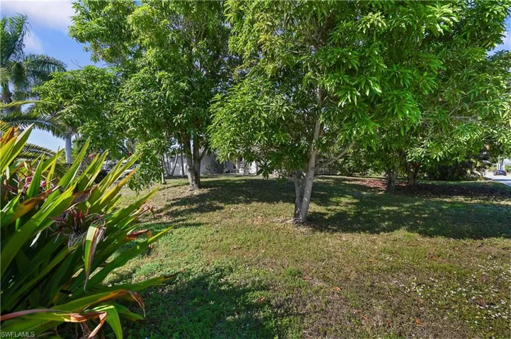 View of grassy yard