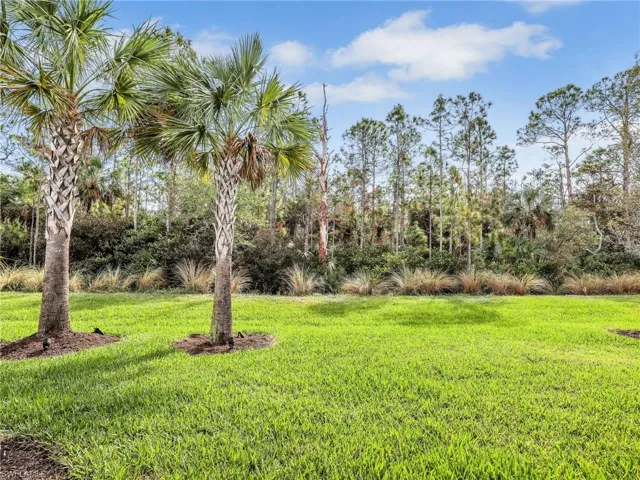 Backyard Preserve