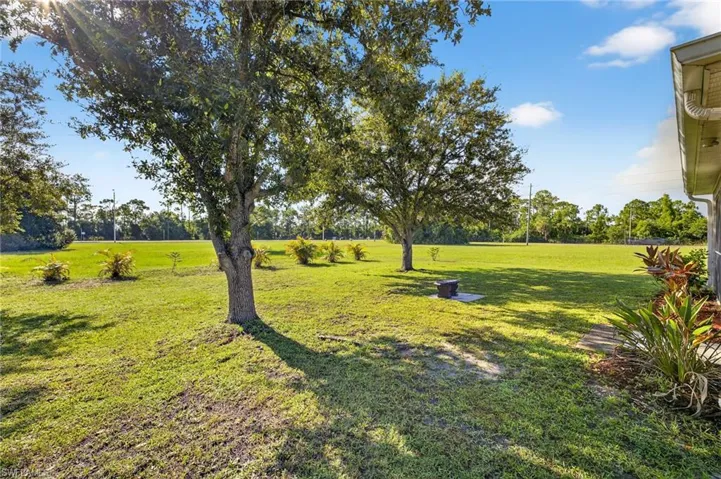 View of green lawn