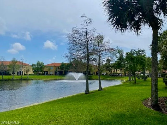 Water view