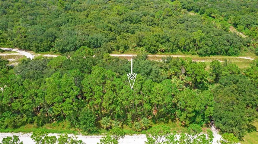 Aerial view of property's location featuring a heavily wooded area