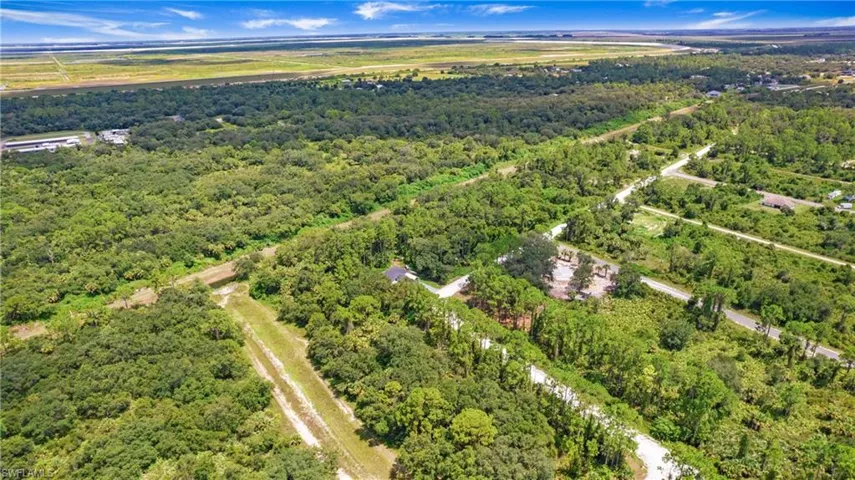 Drone / aerial view of a forest